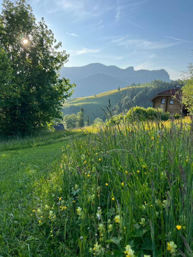 Tauglerei Appartement Enzian In Den Zauberbergen Sankt Koloman Exterior foto